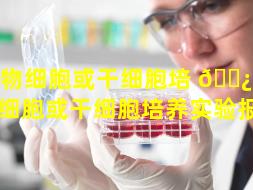 动物细胞或干细胞培 🌿 养（动物细胞或干细胞培养实验报告）